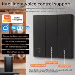 کلید دو پل هوشمند پیانویی TUYA مشکی با قابلیت کنترل از طریق WiFi مدل DH-313 - Image 5