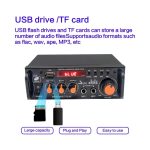 آمپلی فایر بلوتوثی دوبل 600RMS استریو با دو ورودی میکروفن مدل BT-296 - Image 11