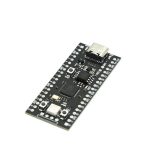 برد توسعه میکروپایتون RP2040 منطبق بر Raspberry Pi Pico - Image 4