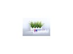 چسب سیلیکون 300ml مارک Kafuter مدل K-704 - Image 3